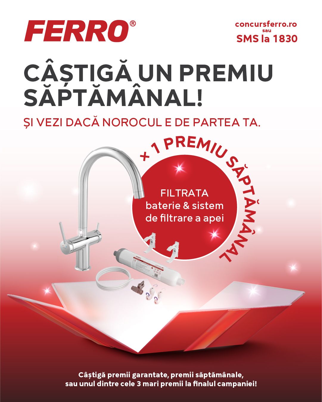 Ferro - Declinari Campanie - SM 2.jpg